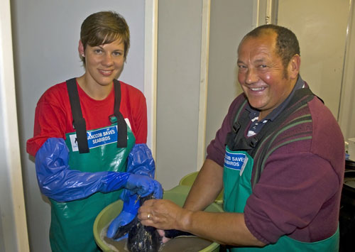 We're just cleaning our penguins.